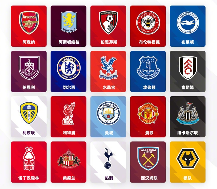 国际武联年 国际武联年