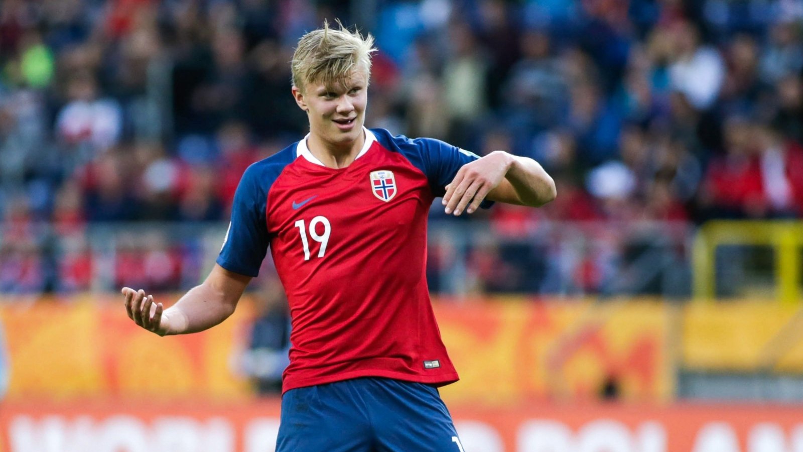 发布扩大影 发布扩大影